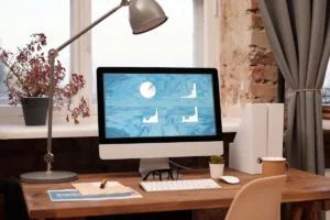 Rodzaje startupow